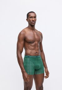 Boxer shorts verdi con motivo e una vita uniforme recante la scritta "BJÖRN BORG". Il tessuto sembra liscio e elasticizzato. Il modello è in piedi.