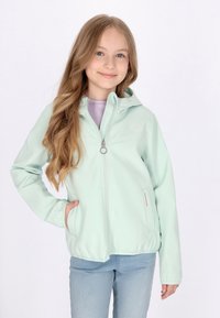 Giacca a zip di un leggero verde menta realizzata in tessuto liscio, con cappuccio, due tasche laterali e un piccolo dettaglio del logo sul petto.