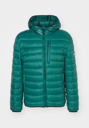 Champion ICONS LIGHT HOODED JACKET - Chaqueta de invierno - green/black