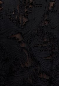 Zwart stof met tekstuur, versleten bladvormen, met verschillende graden van doorzichtigheid. Gladde oppervlakte met ingewikkelde details en lagen.