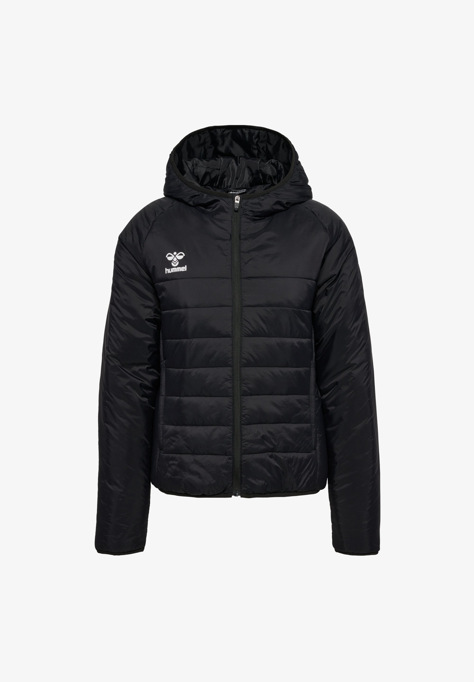 Hummel FUSSBALL TEAMSPORT GO Winter jacket schwarz/black