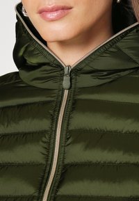 Groene donsjack met een gestikte ontwerp, voorzien van een capuchon en een centrale rits in een contrasterende kleur. Gladde textuur en lichtgewicht materiaal.