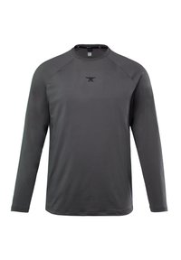 Langarmshirt in Dunkelgrau, aus glattem Stoff gefertigt. Mit Rundhalsausschnitt und einem kleinen schwarzen Logo auf der Brust. Raglanärmel-Design.