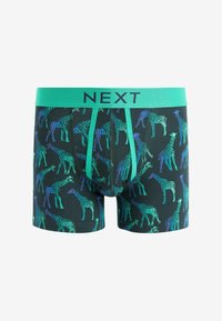 Next PATTERN FOUR PACK - Boxerkalsong - ombre animal