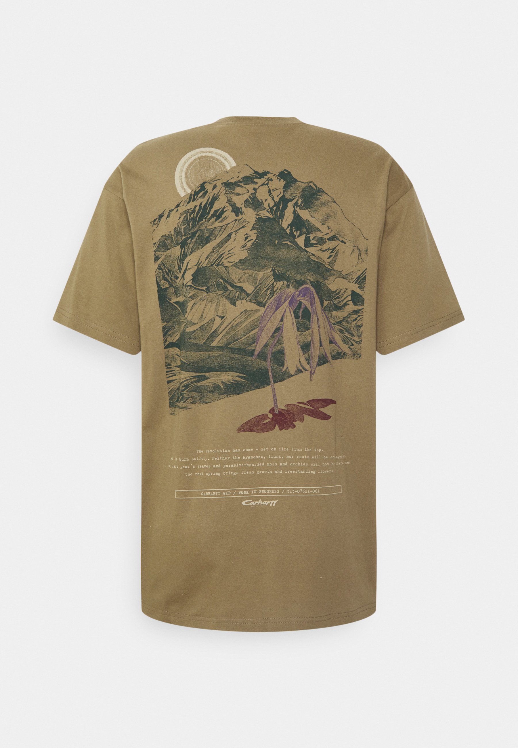 Print T-shirt - tanami/beige - Zalando 
