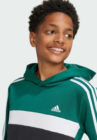 Sudadera verde con rayas horizontales blancas y negras, presenta una capucha con cordón y tres rayas blancas en las mangas. Logo de Adidas en el pecho.