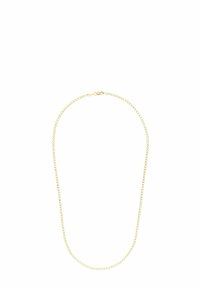 Halsband i guldmetall med en fin, länkad kedjedesign. Har ett enkelt spänne för att fästa. Längden är lämplig för en typisk krage.