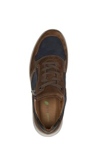 Waldläufer K-JOHN - Sneaker low - cognac