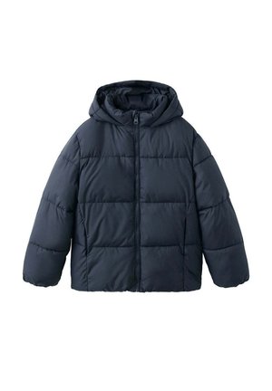 Marineblaue, gesteppte Winterjacke mit Kapuze, langen Ärmeln und Frontreißverschluss, dargestellt auf weißem einfarbigem Hintergrund.