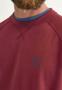 Felpa bordeaux con collo a costine e maniche raglan; presenta un logo grigio scuro a forma di fiore sul petto.