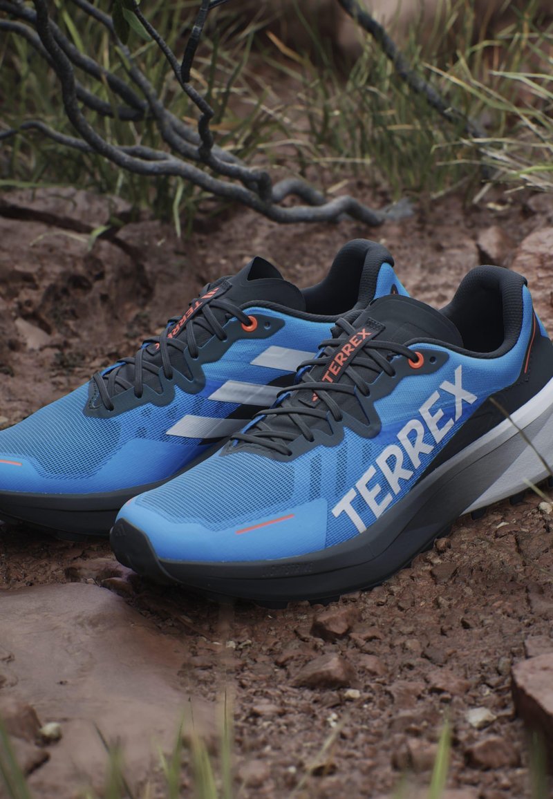 Blue athletic shoes with black accents, mesh upper, textured surface, prominent white "TERREX" logo, and orange detailing on the laces.