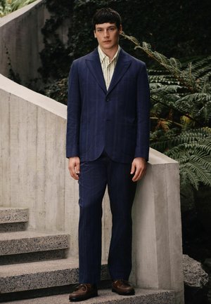 Young man stands on stone stairs wearing navy blue pinstripe suit, striped cream shirt, and brown leather shoes, with green foliage background.