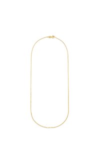 Gold chain necklace with a delicate, thin design and smooth texture. Features a classic lobster clasp for secure fastening.