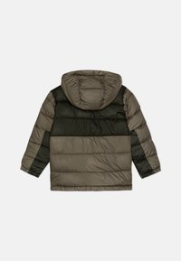 Columbia PIKE LAKE HOODED JACKET UNISEX - Zimska jakna - stone green/greenscape