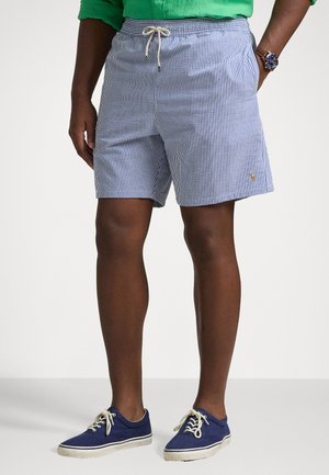 TRAVELER CLASSIC SWIM TRUNK - Short de bain - cruise royal