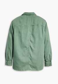 Zaļš krekls ar garām piedurknēm, apkakli, aizmugurējo plecu daļu un pogām aiztaisāmas aproces. Audums š ķiet mīksts ar gludu tekstūru. Nav redzamu rakstu.