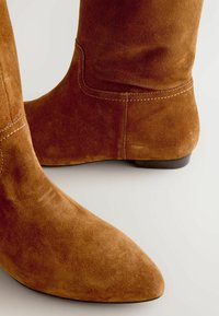 Bruine suède enkellaarsjes met een spitse neus en platte hak. Voorzien van zichtbare stiksels langs de zijkanten en een gladde textuur.