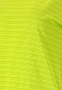 Whistler SKYLON - T-shirt till träning - 3194 tender shoots