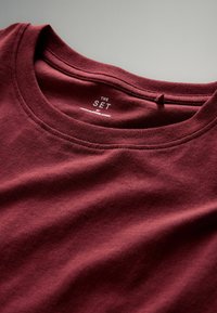 Burgunder T-Shirt mit Rundhalsausschnitt, aus weicher Baumwolle. Mit einem Etikett versehen, auf dem "THE SET" im Kragen gedruckt ist. Glatte Textur.