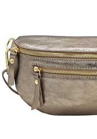 Sac zippé en bronze métallique avec quincaillerie dorée, forme incurvée, compartiments à double zip et pompons décoratifs. Finition lisse et texturée.