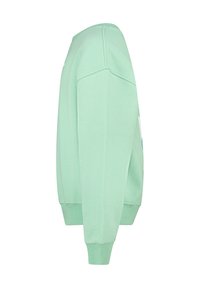 Felpa verde menta con polsini e orlo a coste, caratterizzata da un colletto rotondo e una vestibilità rilassata. Texture liscia, senza motivi o grafiche visibili.