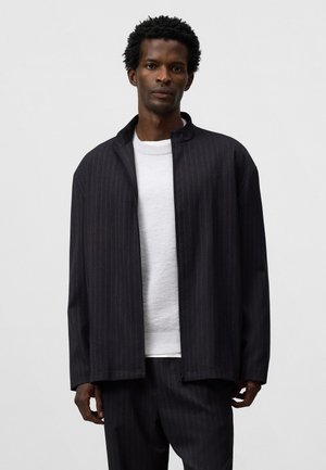 STRIPED ZIP-UP - Giacca leggera - grey stripe