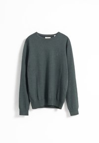 Sudadera verde oscura hecha de material suave. Presenta un cuello redondo, mangas largas y puños y dobladillo acanalados. Detalle sutil del logo en el pecho.