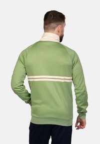 Grüner Pullover mit hohem Kragen, der weiße horizontale Streifen über den Rücken und gerippte Bündchen aufweist. Weiches Material mit glatter Textur.