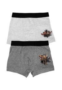 Due paia di boxer: una grigia con un graphic di dinosauro, l'altra grigio chiaro con un graphic di cane, entrambe con elastico nero.