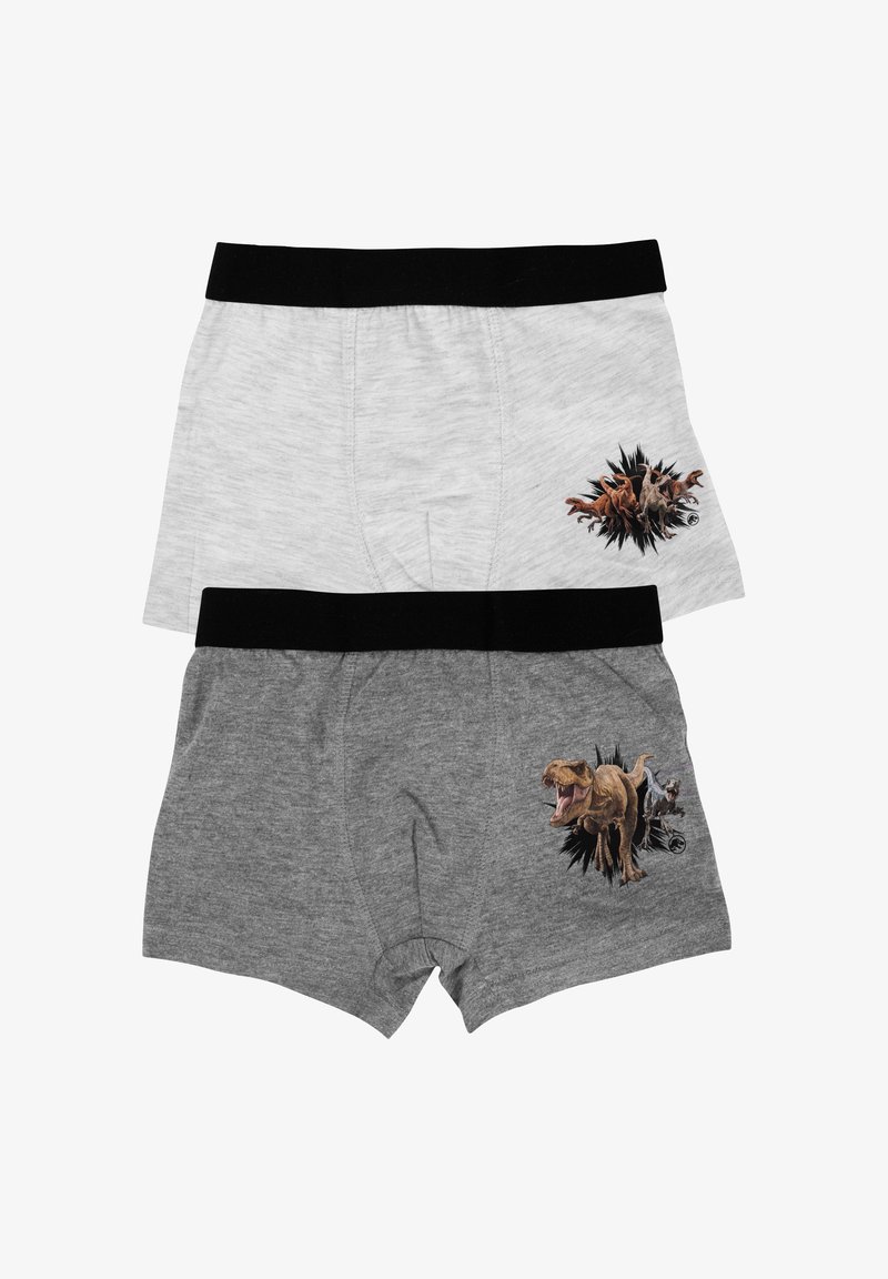 Zwei Paare Boxershorts: eine grau mit einem Dinosaurier-Graphic, die andere hellgrau mit einem Hund-Graphic, beide mit schwarzen Bündchen.