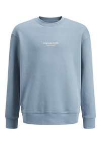 Felpa azzurra chiara in cotone, con colletto a girocollo, maniche lunghe e un discreto logo bianco centrato sul petto.
