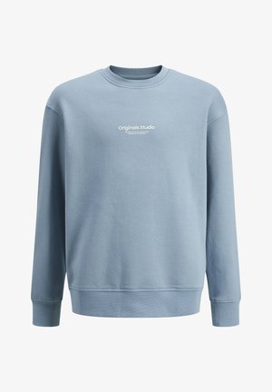 Felpa azzurra chiara in cotone, con colletto a girocollo, maniche lunghe e un discreto logo bianco centrato sul petto.