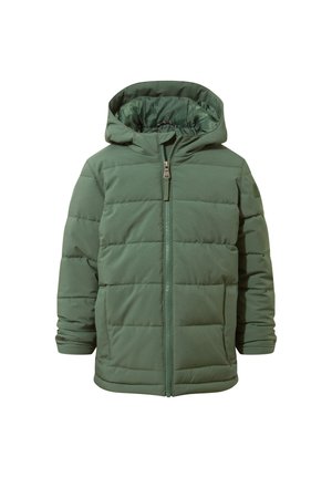HARECROFT - Winter coat - dark fern