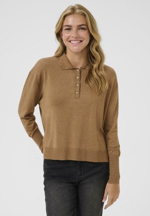 Maglione polo lavorato a maglia marrone con colletto a punta, dotato di cinque bottoni al collo, maniche lunghe e una vestibilità comoda.