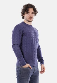 Maglione viola a maglia grossa con maniche lunghe, scollatura rotonda e polsini a costine, abbinato a un paio di jeans blu. Texture morbida, vestibilità casual.