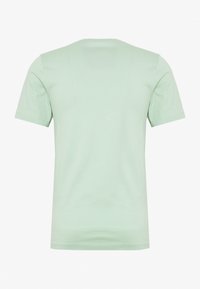 Ljusgrön t-shirt med korta ärmar, tillverkad av mjuk bomull, med enkel design, rund hals och utan synliga mönster eller detaljer.