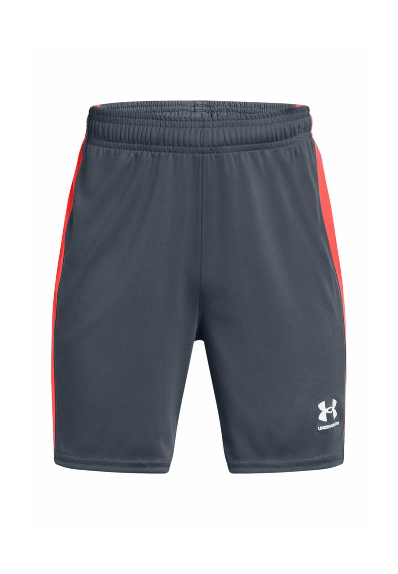 Under Armour Korte broeken grijs