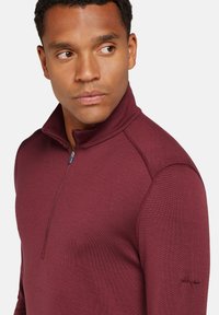 icebreaker M 260 TECH LS  - Langarmshirt - port