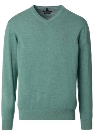 Grüner V-Ausschnitt-Pullover mit langen Ärmeln, gerippten Bündchen und Saum, aus feinem Strickstoff gefertigt.