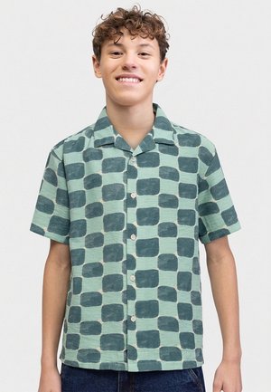 Joven sonriente con el pelo corto y rizado que lleva una camisa de manga corta y botones con un patrón cuadriculado irregular en verde oscuro y verde claro.