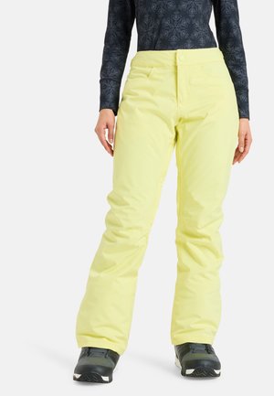 BACKYARD PT - Pantalons de ski - yfk0