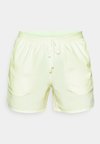STRIDE - Pantaloncini sportivi - barely volt/reflective silver