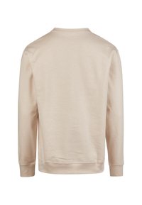 Beige sweatshirt with long sleeves, crew neck, and ribbed cuffs. Made from soft fabric with a smooth texture, featuring a plain design.