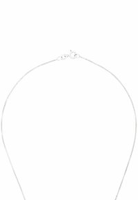 Silverfärgat kedjehalsband med en slank, tunn design och ett säkert lås. Ytan är slät med en polerad finish.