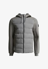 Odabrano, brushed nickle