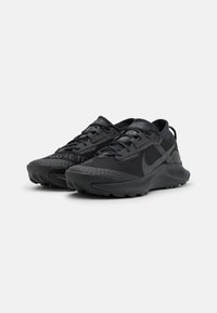 Nike Performance PEGASUS TRAIL 3 GTX - Sapatilhas de trail running - black/dark smoke grey/iron grey