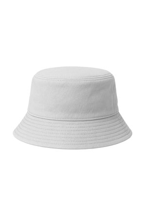 REICHSTADT ANGLER 25RSW074 - Hat - beige