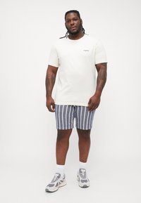 Cremefarvet t-shirt med korte ærmer og tekstdetaljer, parret med blåt og hvidt stribet shorts. Accentueret med grå sneakers og hvide sokker.