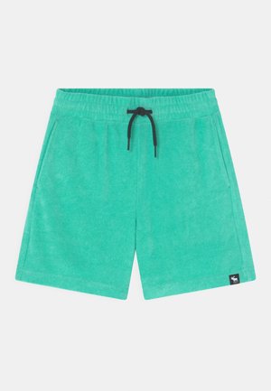 Turkise frottéshorts med elastisk talje, sort snor, sidelommer og lille sort logopatch på venstre kant.