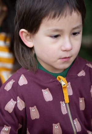 Kinder-Maronenfarbener Reißverschluss-Hoodie mit Bärenmustern, goldenem Reißverschluss und grünem Akzent-Layer darunter. Weicher Stoff mit glatter Textur.